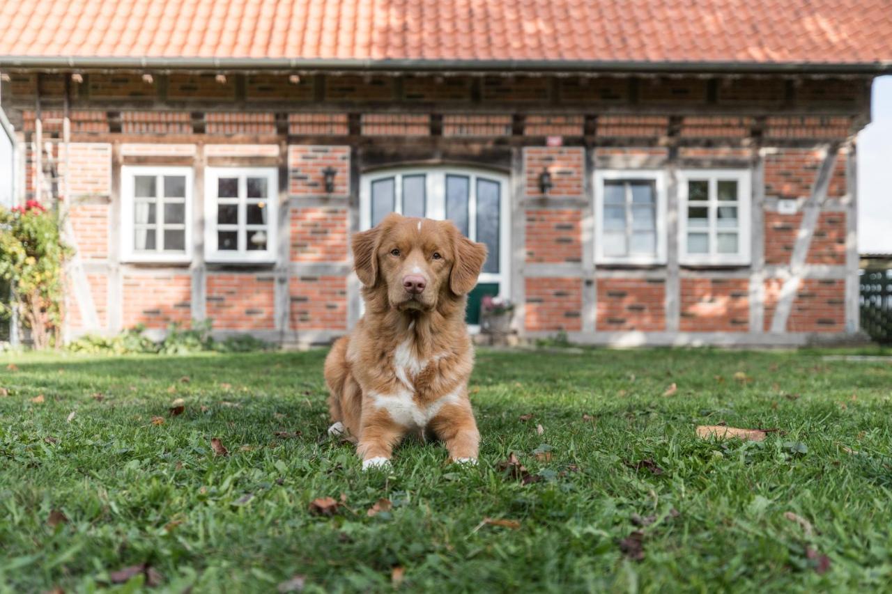 Fachwerk-Ferienhaus, Ruhe Auf Dem Land, Haustiere Willkommen, Leihfahrraeder, 24-7 Check In Kirchlinteln Dış mekan fotoğraf